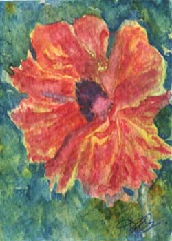 "Poppy" by Peg Ginsberg, Blue Mounds WI - Watercolor